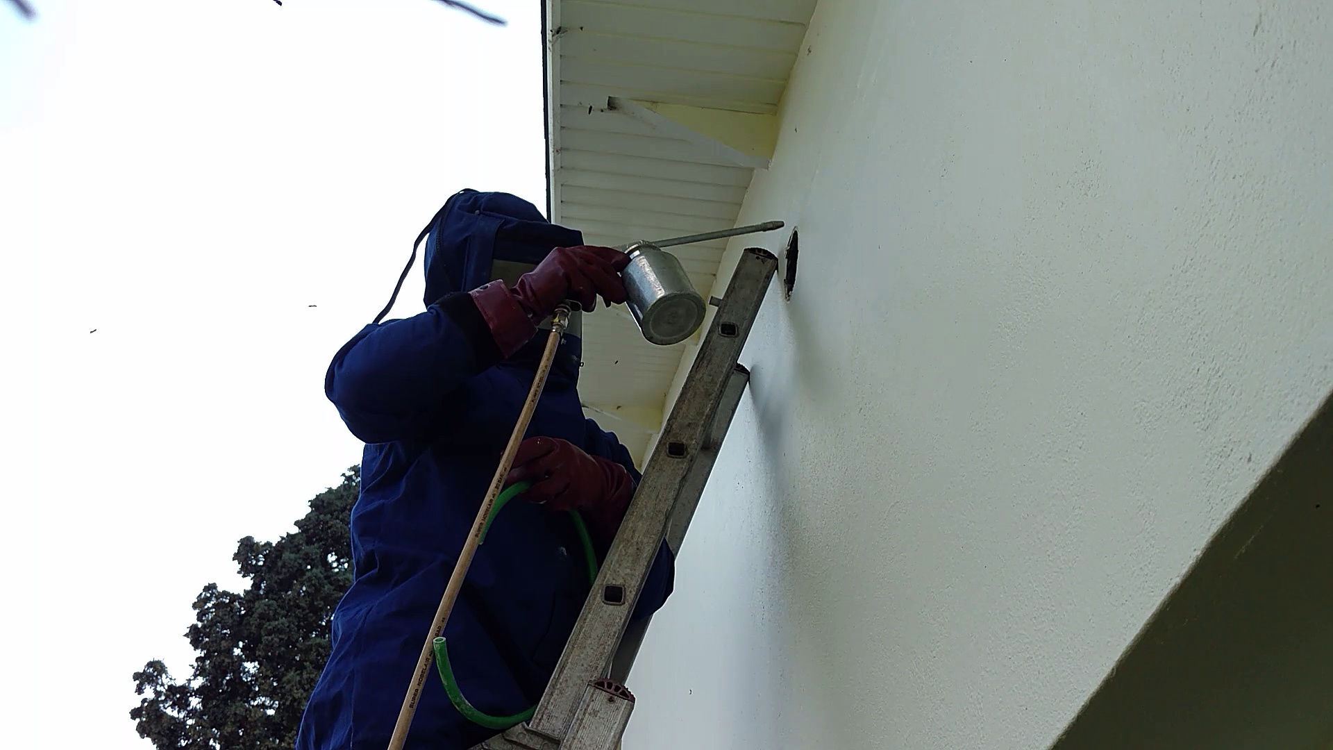 Dailymotion Intervention pompiers nids de guêpes 3